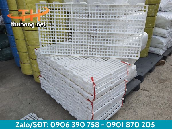 Sàn nhựa nuôi dê chất lượng tại Thu Hồng Sàn nhựa nuôi dê chất lượng tại Thu Hồng