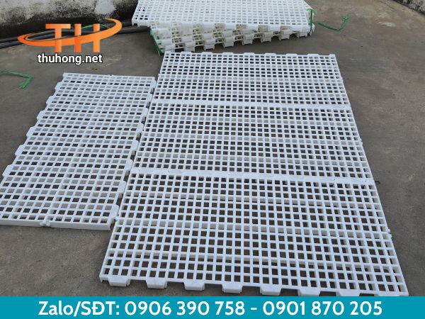 Sàn nhựa nguyên sinh nuôi dê chất lượng Sàn nhựa nguyên sinh nuôi dê chất lượng