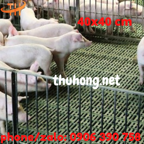 Sàn nuôi heo 40x40cm giá rẻ Sàn nuôi heo 40x40cm giá rẻ