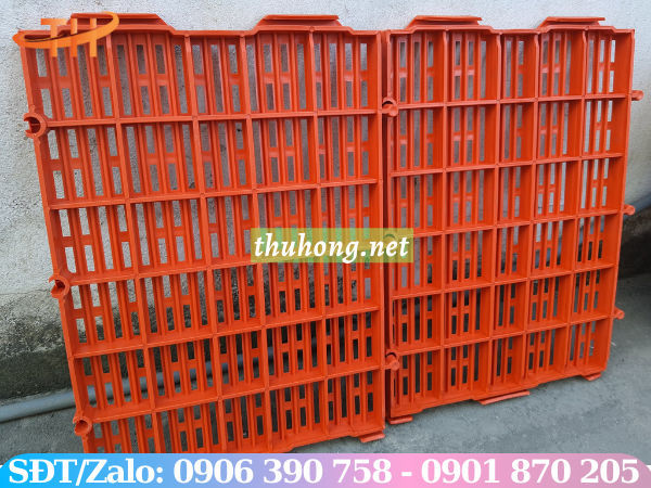 Sàn nhựa nuôi heo