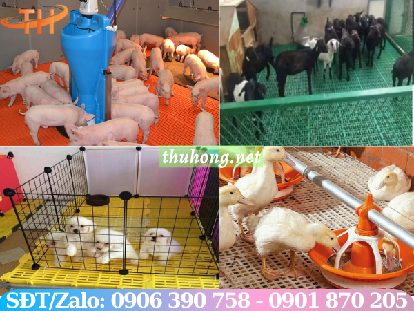 ứng dụng sàn nhựa chăn nuôi