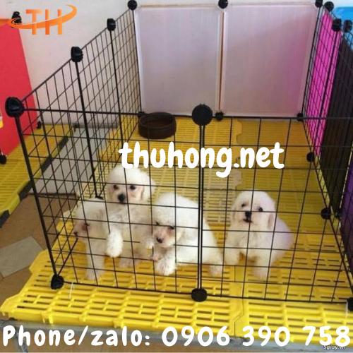 Sàn nhựa nuôi chó mèo 30 x60cm