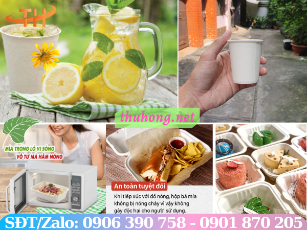 Dùng sản phẩm bã mía để bảo vệ sức khỏe