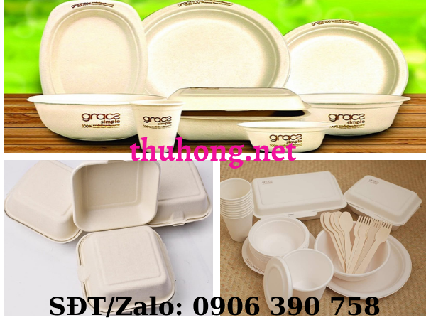 Hộp thực phẩm dùng 1 lần từ bã mía