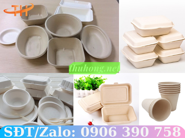 Một số sản phẩm được làm từ bã mía