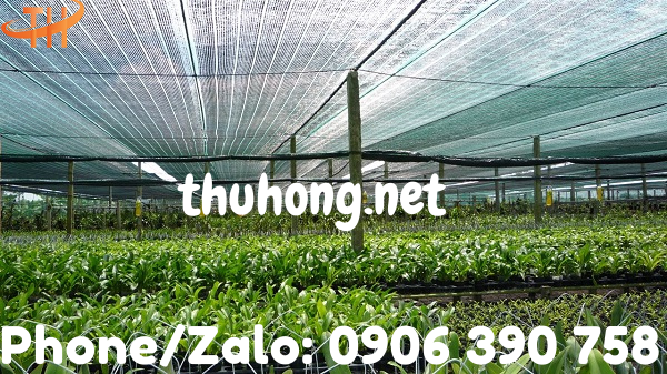 lưới che nắng vườn hoa lan