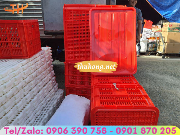 Sóng hở đựng trái cây có nắp