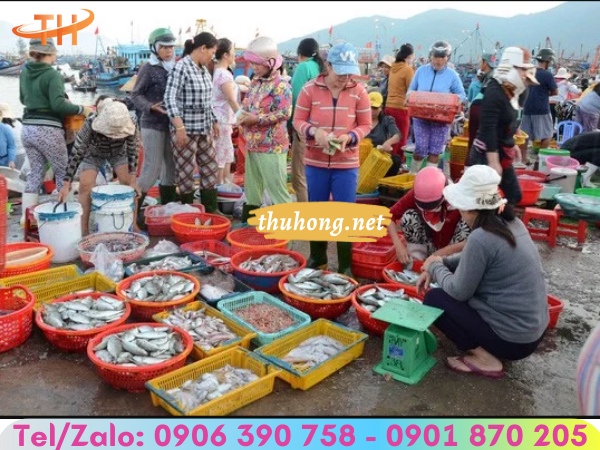 Sóng đựng cá đa dạng mẫu mã, màu sắc