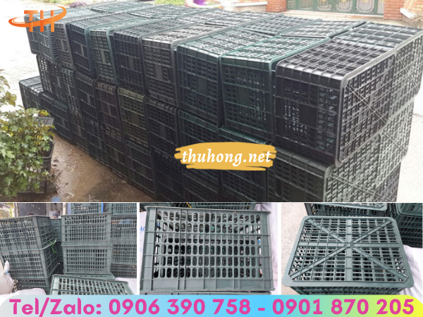 sóng nhưa trái cây