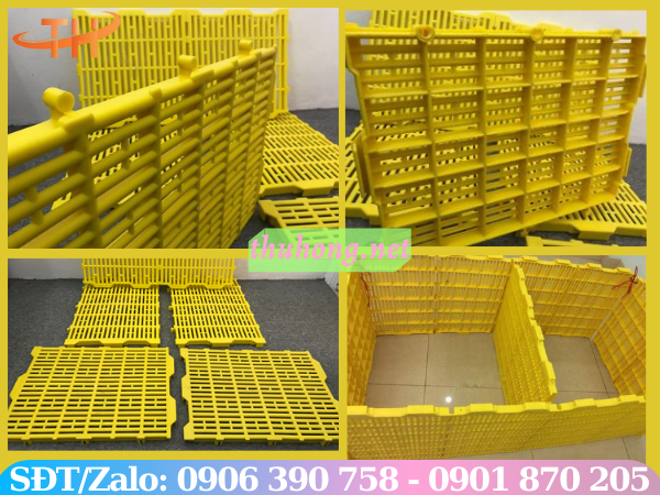 Sàn nhựa nuôi heo màu vàng