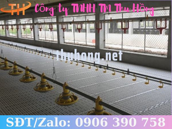 Tấm nhựa lót sàn chuồng trại gà vịt