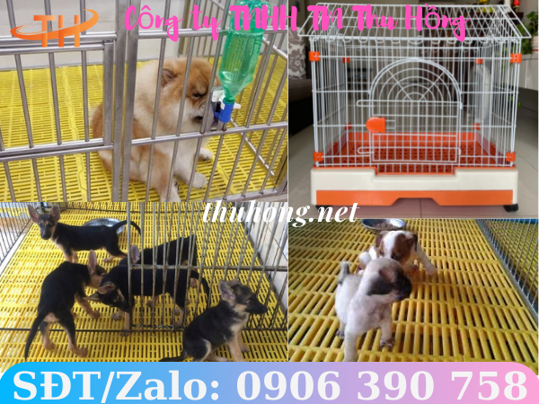 Tấm lót sàn nhựa nuôi chó chất lượng