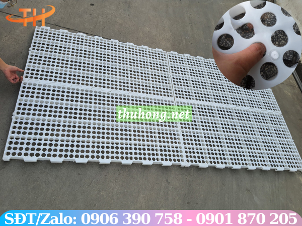 Sàn nhựa nuôi dê lỗ tròn 50*100cm