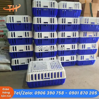 LỒNG NHỰA BẮT GÀ CON