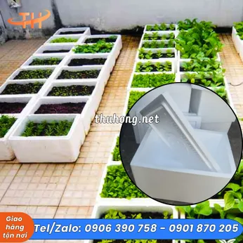 THÙNG XỐP TRỒNG RAU SẠCH