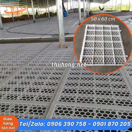 SÀN NHỰA NUÔI GÀ VỊT DÊ MẪU MỚI 50x60 LỖ LỤC GIÁC