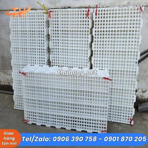 SÀN NHỰA NUÔI GÀ VỊT DÊ 50x100 LỖ TRÒN