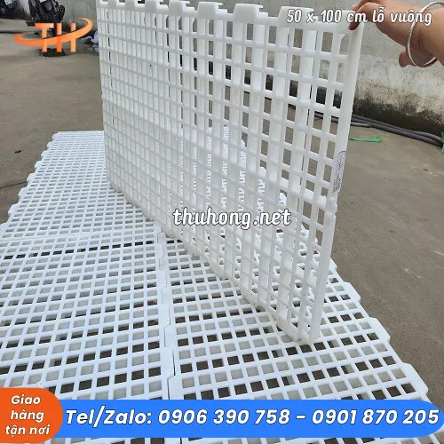 SÀN NHỰA NUÔI GÀ DÊ VỊT 50x100 LỖ VUÔNG