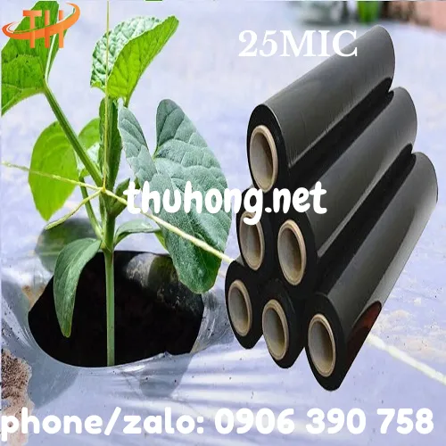 MÀNG PHỦ NÔNG NGHIỆP PE ĐEN 25MIC