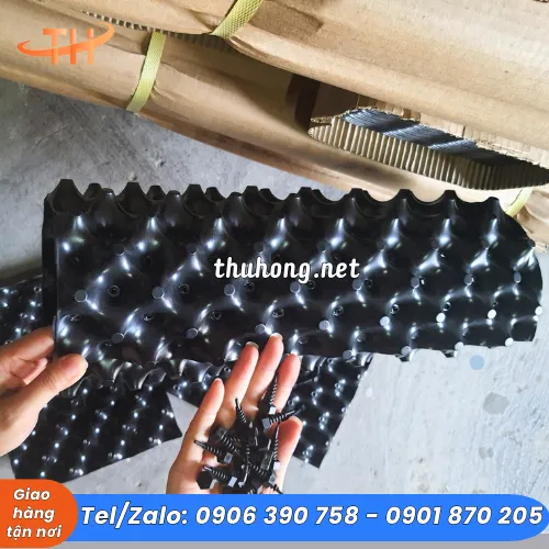 BẦU NHỰA ƯƠM CÂY THÔNG MINH