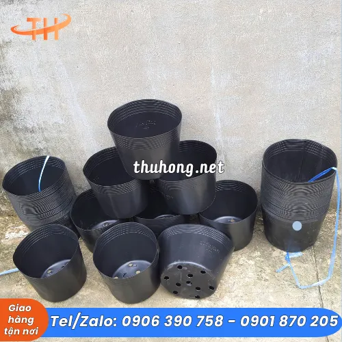 CHẬU NHỰA TRỒNG CÂY