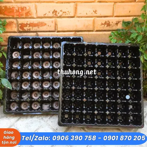 KHAY ƯƠM HẠT GIỐNG