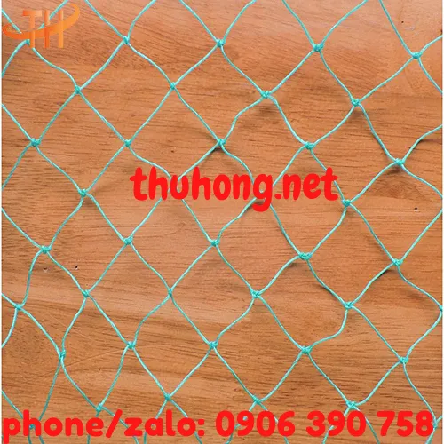 LƯỚI CƯỚC XANH MẮT LỚN QUAY CHUỒNG GÀ VỊT