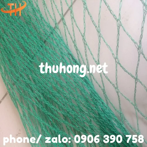 LƯỚI CƯỚC XANH MẮT LỚN QUAY CHUỒNG GÀ VỊT