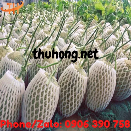 LƯỚI XỐP BỌC TRÁI CÂY NGUYÊN CUỘN 1KG MÀU TRẮNG