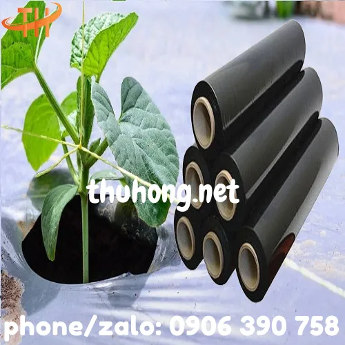 MÀNG PHỦ NÔNG NGHIỆP PE ĐEN 14 MIC
