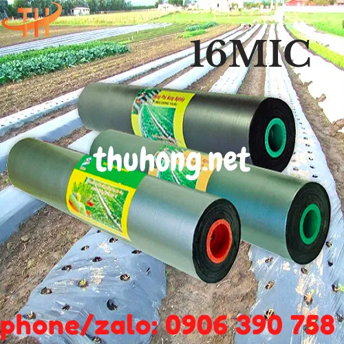 MÀNG PHỦ NÔNG NGHIỆP PE ĐEN 16 MIC