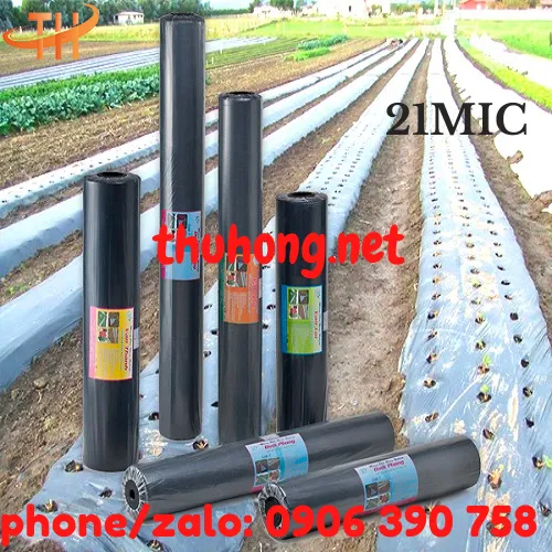 MÀNG PHỦ NÔNG NGHIỆP PE ĐEN 21MIC