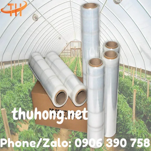MÀNG PHỦ NÔNG NGHIỆP PE TRONG SUỐT