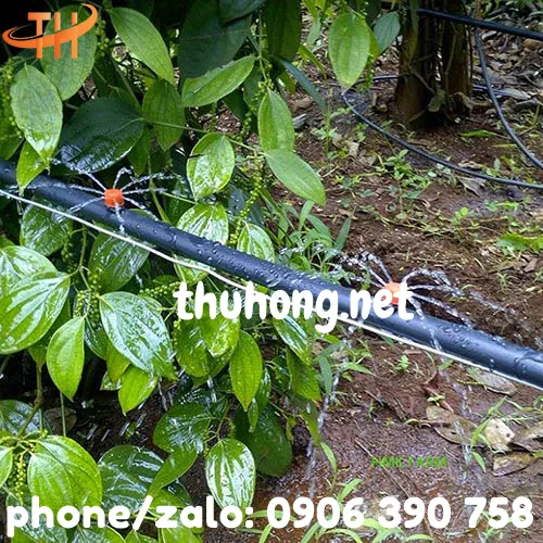 ỐNG TƯỚI NHỎ GIỌT PHI 12 KHOẢNG CÁCH 20CM