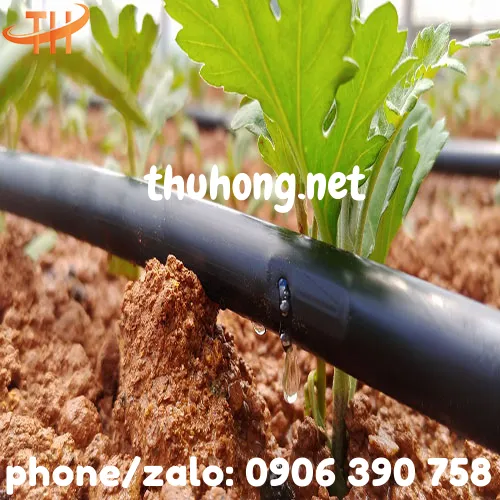 ỐNG TƯỚI NHỎ GIỌT PHI 16 KHOẢNG CÁCH 50CM