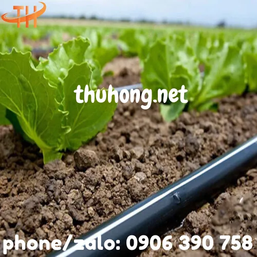 ỐNG TƯỚI NHỎ GIỌT PHI 16 KHOẢNG CÁCH 50CM