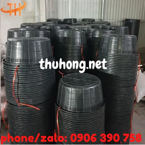 RỔ NHỰA NUÔI NGAO - THỦY SẢN