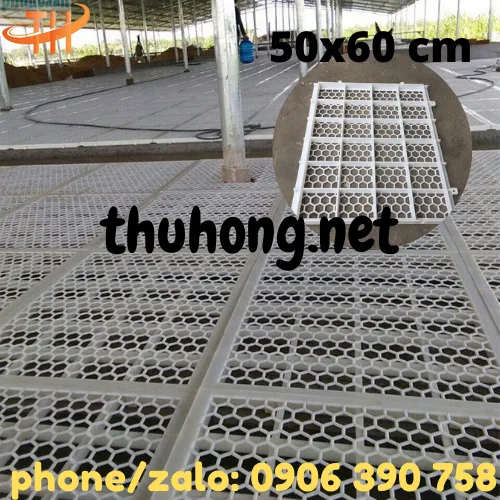 SÀN NHỰA NUÔI GÀ VỊT DÊ MẪU MỚI 50x60 LỖ LỤC GIÁC