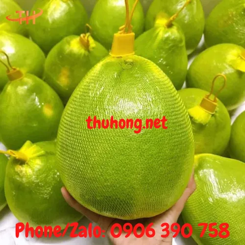 TÚI LƯỚI ĐỰNG TRÁI CÂY