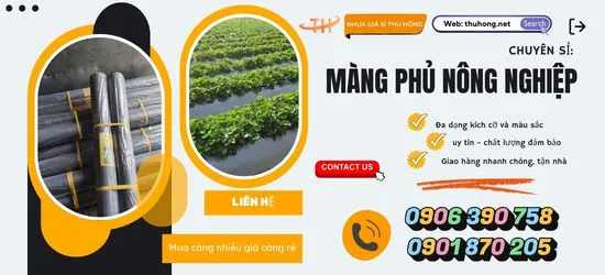 Màng phủ nông nghiệp giúp ngăn chặn cỏ dại mọc vì sao