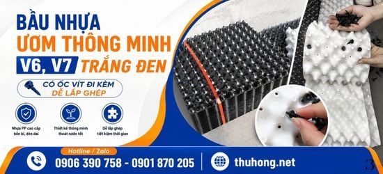 Bầu nhựa ươm thông minh trắng, đen chất lượng giá sỉ