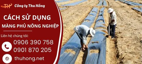 Công Dụng Và Cách Sử Dụng Màng Phủ Nông Nghiệp Hiệu Quả Nhất