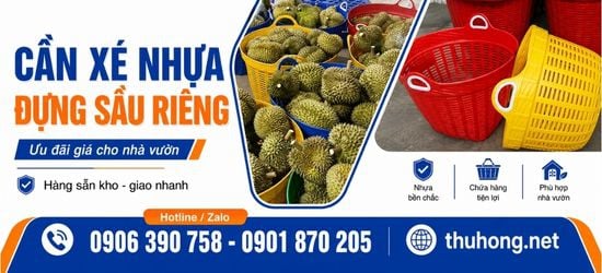 Cần xé nhựa đựng sầu riêng bỏ sỉ cho nhà vườn giá siêu ưu đãi
