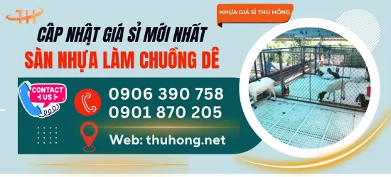 Bảng giá sàn nhựa nuôi dê cập nhật mới – chọn loại nào cho chuồng ẩm thấp