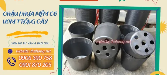 Chậu nhựa mềm mini – Giải pháp ươm trồng tiện lợi và tiết kiệm cho nhà vườn hiện đại