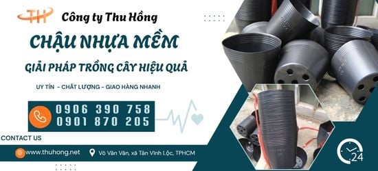 Chậu Nhựa Mỏng Trồng Cây Đủ Kích Cỡ Giá Sỉ Tận Kho Cho Nhà Vườn