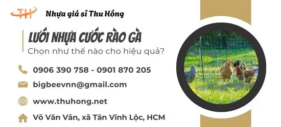 Cách chọn lưới cước rào gà phù hợp cho mô hình nuôi gà thả vườn