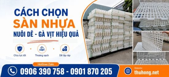 Cách Chọn Sàn Nhựa Nuôi Dê Gà Vịt Đảm Bảo Chất Lượng, Tiết Kiệm Chi Phí