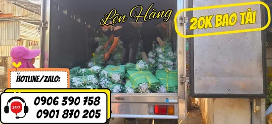 Hoạt động xuất kho 20.000 bao tải xanh 45x83cm tại Thu Hồng – Đáp ứng đơn sỉ số lượng lớn