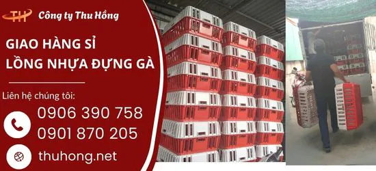 Giao nhanh cho khách sỉ mua lồng nhựa đựng gà nhận hàng tại kho Thu Hồng